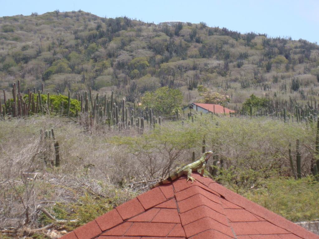 Fuego Mio Bed & Breakfast Santa Cruz Buitenkant foto