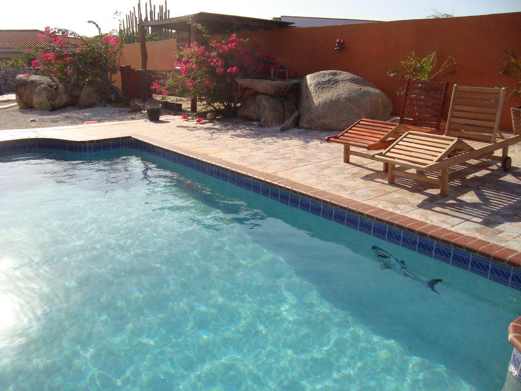 Fuego Mio Bed & Breakfast Santa Cruz Buitenkant foto